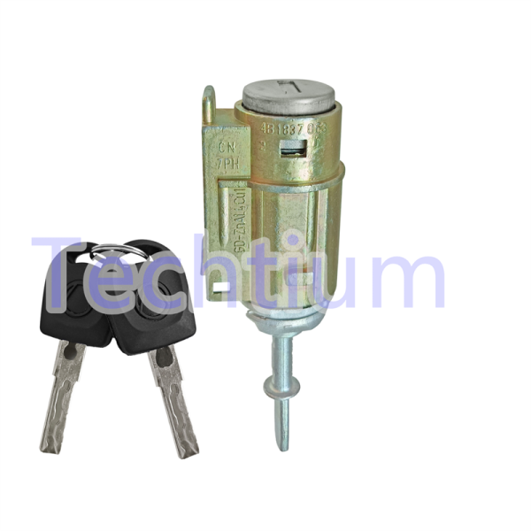 Audi A6 door Lock cylinder